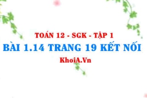 Bài 1.14 trang 19 Toán 12 tập 1 Kết nối tri thức